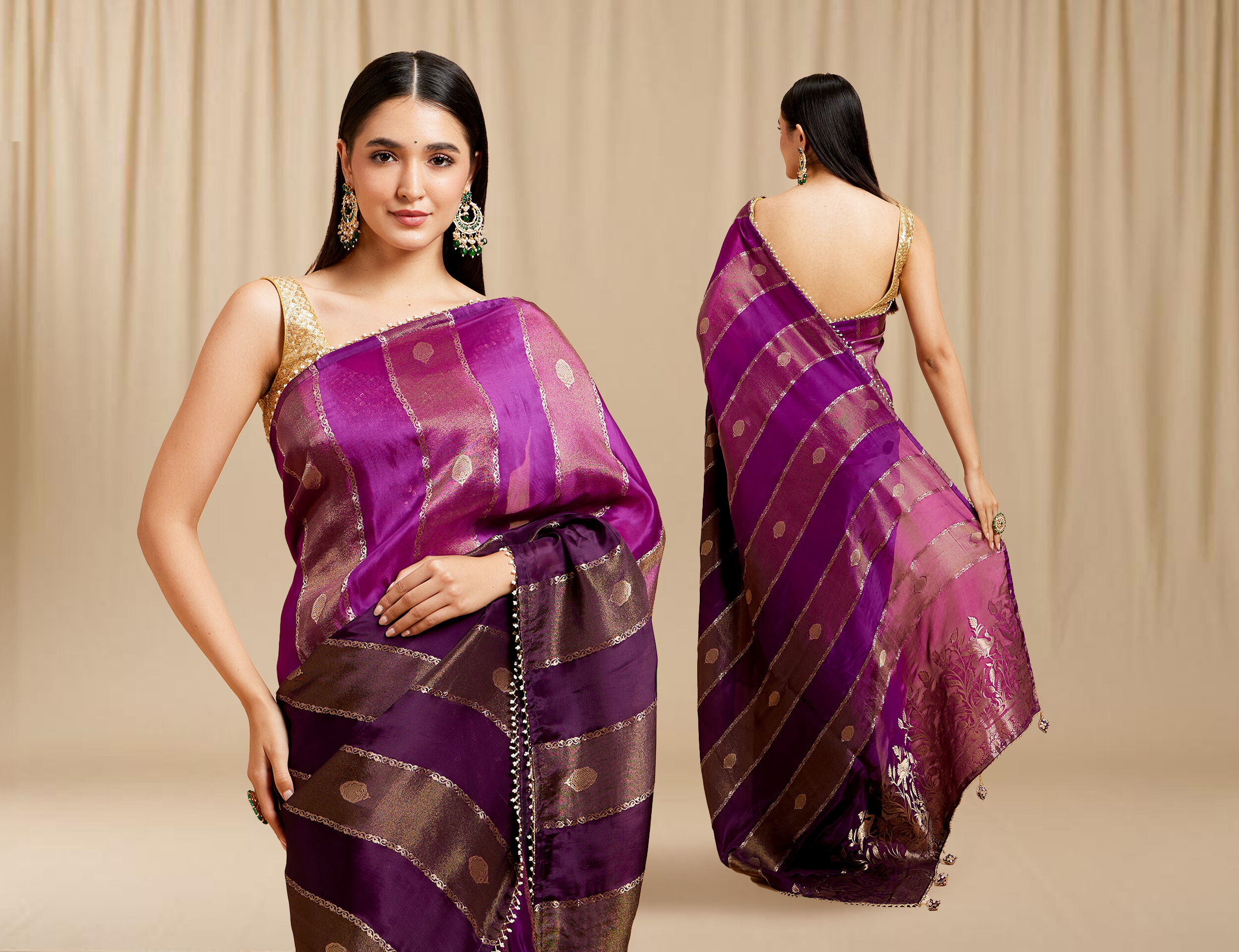 A women in pattern saree 